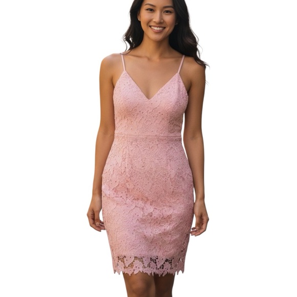 Eilly Bazar Pink Lace Overlay Fitted Adjustable Straps Dress Sz XL Back Zip - Picture 1 of 6